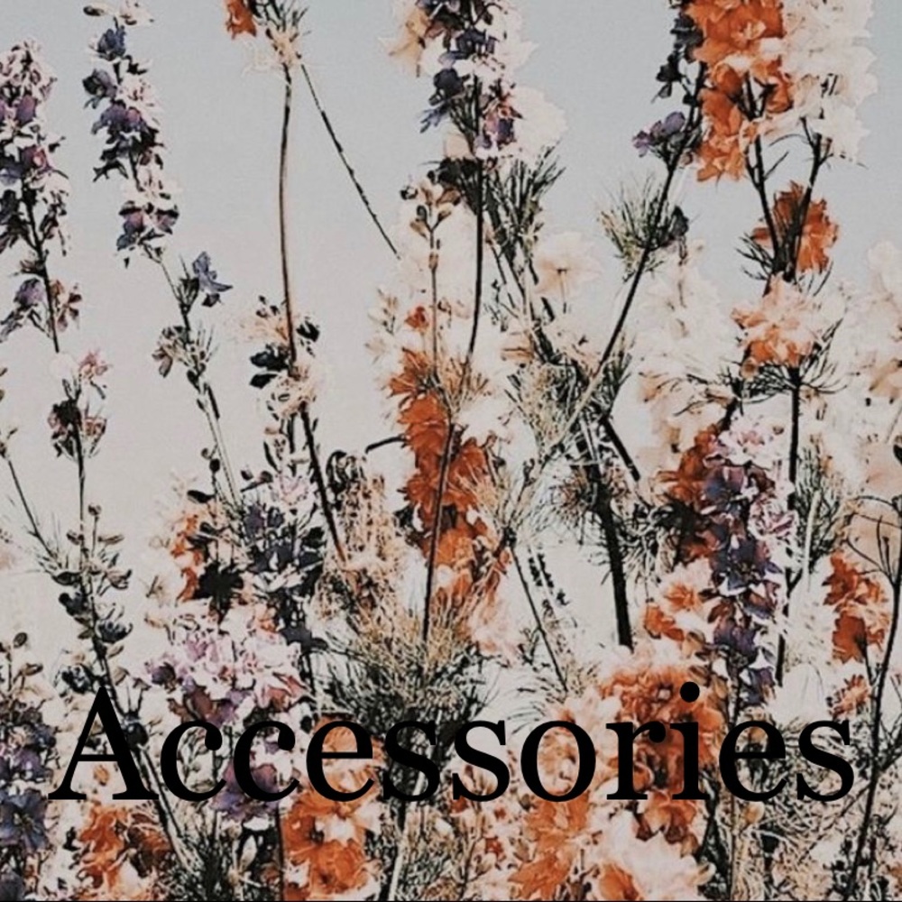 A C C E S S O R I E S